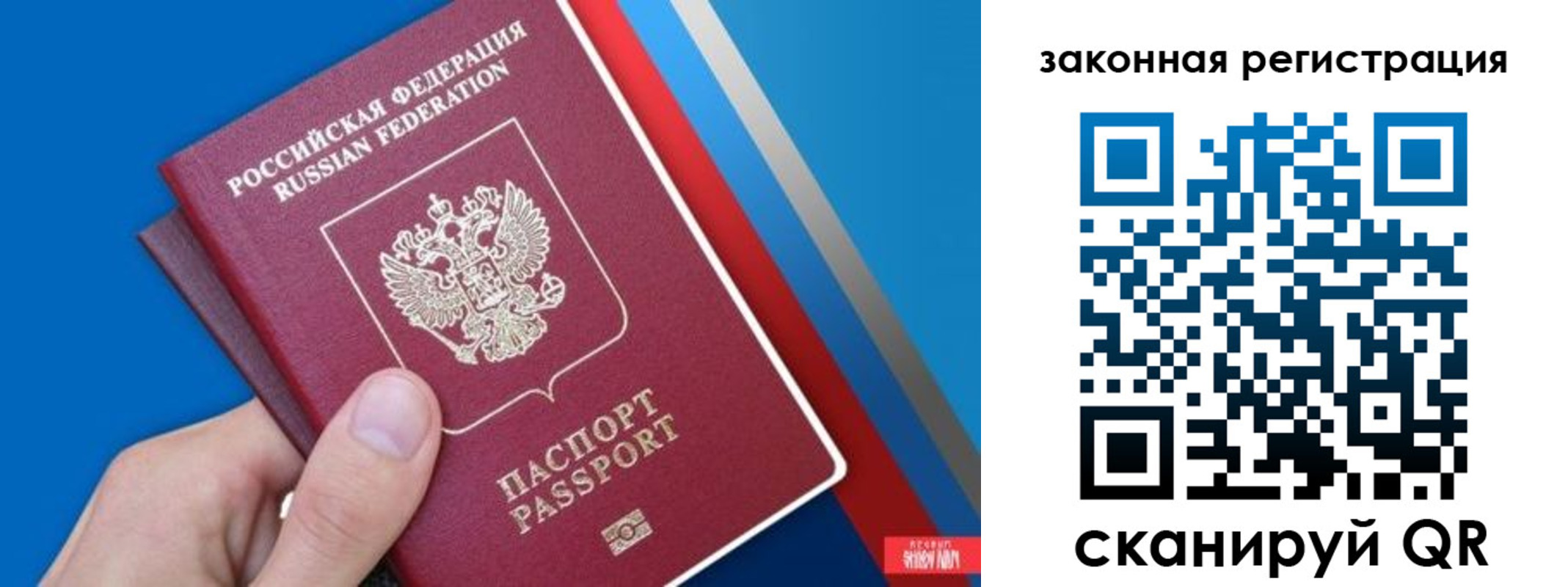 прописка гарантия в Рязани